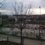 My beautiful picture