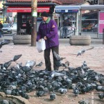 My beautiful picture