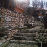 My beautiful picture