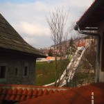 My beautiful picture