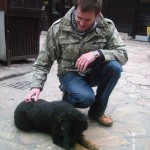 My beautiful picture