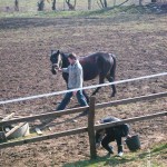 My beautiful picture