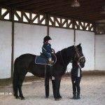 My beautiful picture