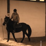 My beautiful picture