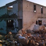 My beautiful picture