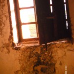 My beautiful picture