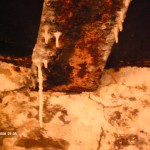 My beautiful picture