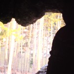 My beautiful picture