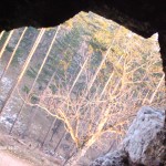 My beautiful picture