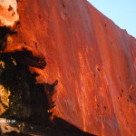 My beautiful picture