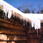 My beautiful picture