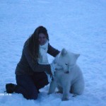 My beautiful picture