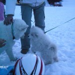 My beautiful picture
